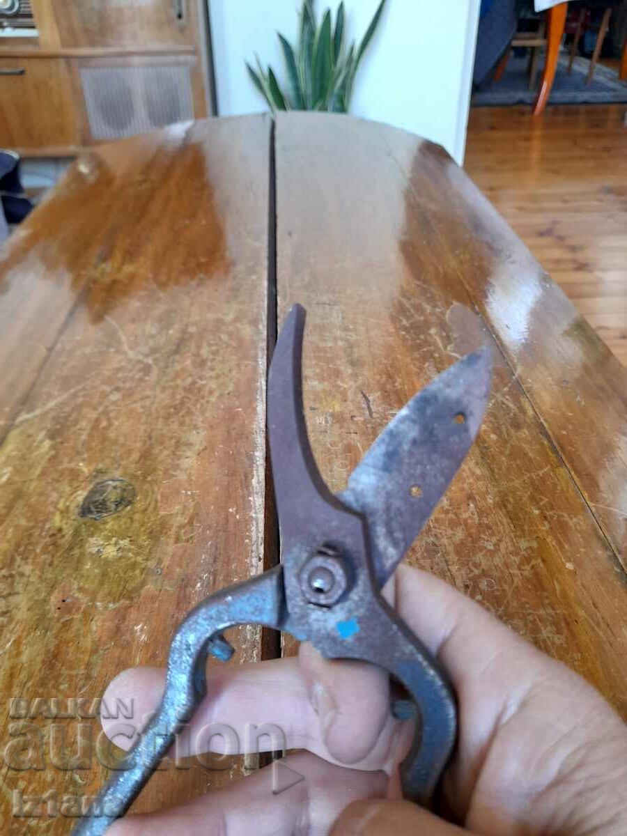 Auction Stara Lozarska, ovoshtarska Nozhitsa, Nozhitsi Auction Stara Lozarska, ovoshtarska Nozhitsa, Nozhitsi