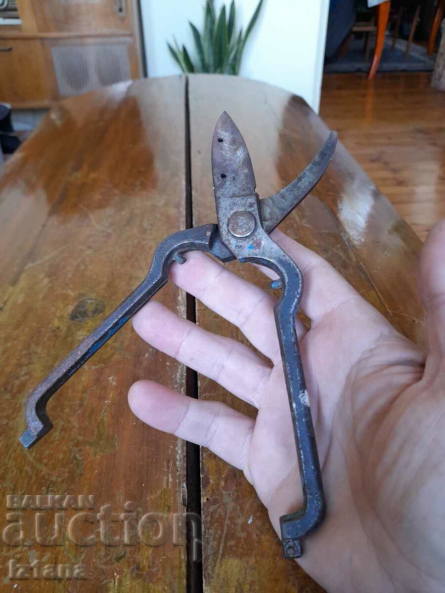 Delivery of Stara Lozarska, ovoshtarska Nozhitsa, Nozhitsi Delivery of Stara Lozarska, ovoshtarska Nozhitsa, Nozhitsi