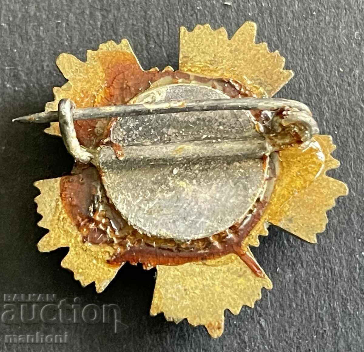 5650 Bulgaria original miniature Order of Stara Planina 1st class with price 120.00 BGN | € 61.36 5650 Bulgaria original miniature Order of Stara Planina 1st class with price 120.00 BGN | € 61.36