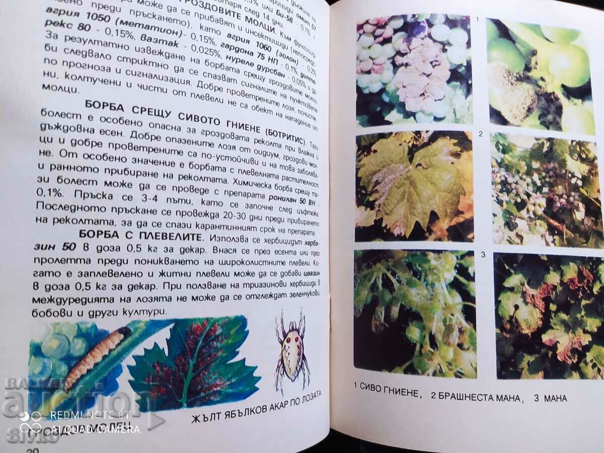 Pest control on the main crops in the few farms - 7