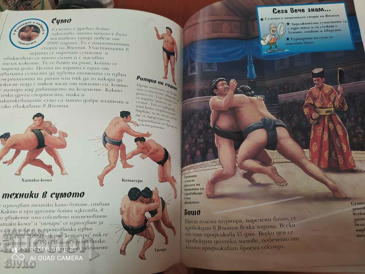 Delivery of Martial Arts Delivery of Martial Arts