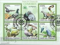2009. Insulele Comore. Păsări - Porumbei și Cuci. Bloc.