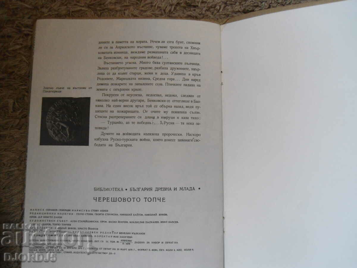 Delivery of THE CHERRY BALL, Seraphim Severnyak Delivery of THE CHERRY BALL, Seraphim Severnyak