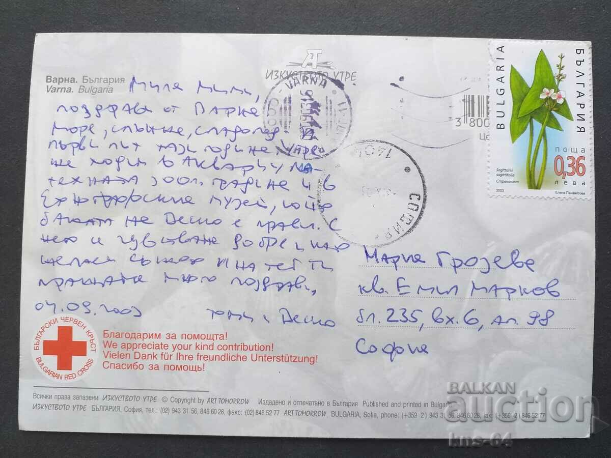 Varna BCHK with price 0.75 BGN | € 0.38