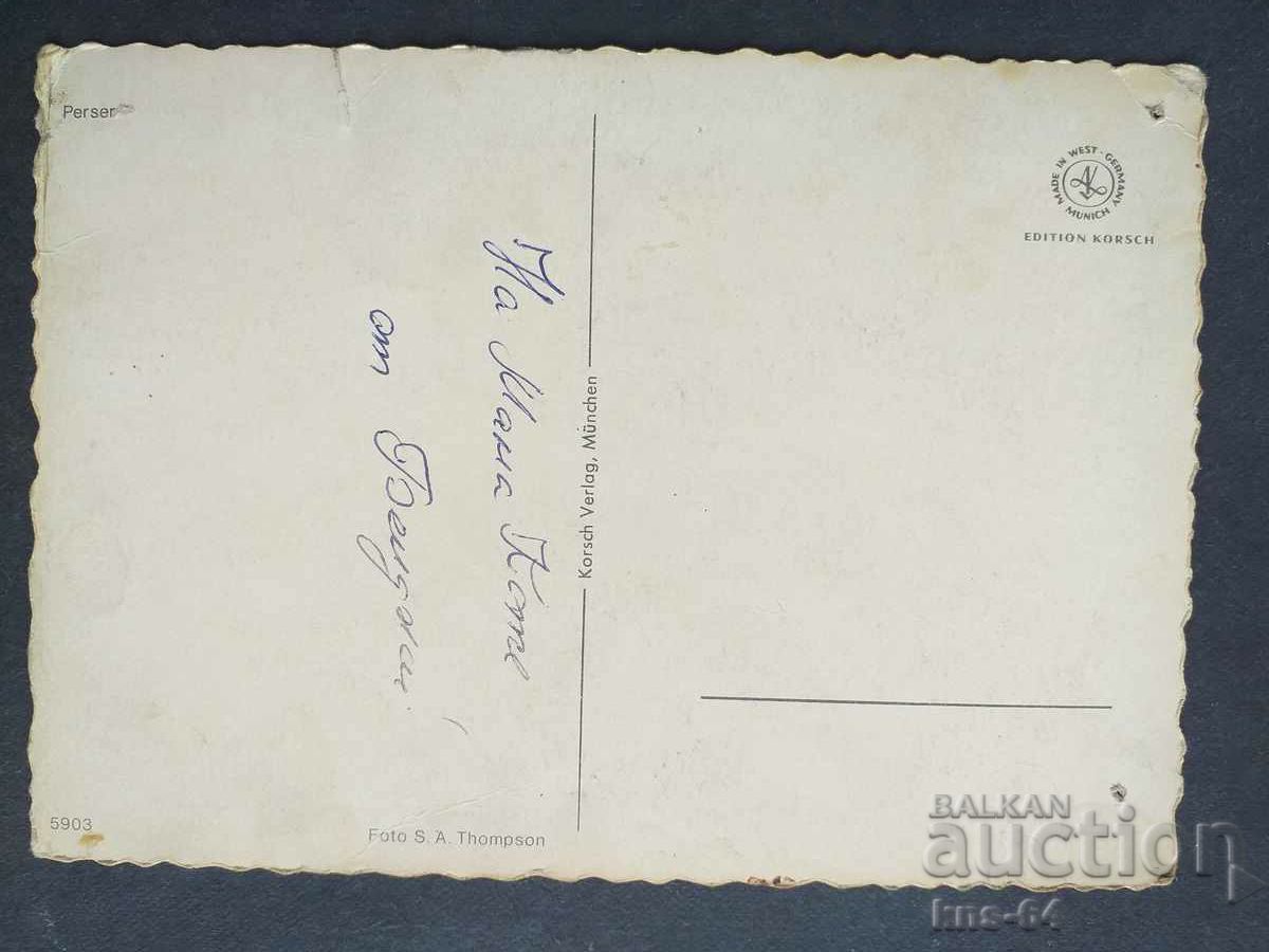 Cats with price 0.65 BGN | € 0.33