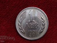 1 BGN 1981, κέρμα, κέρματα