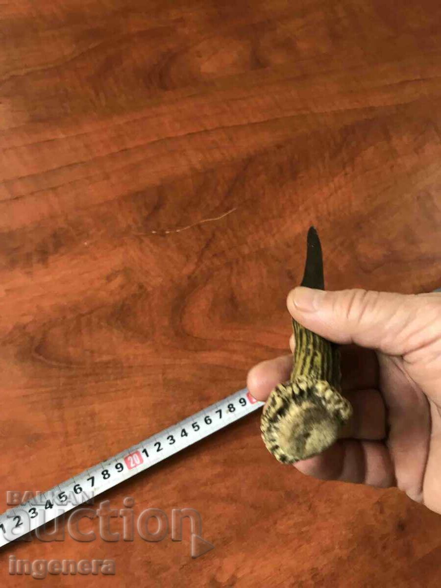 Delivery of KNIFE BLADE HORN COLORED Delivery of KNIFE BLADE HORN COLORED