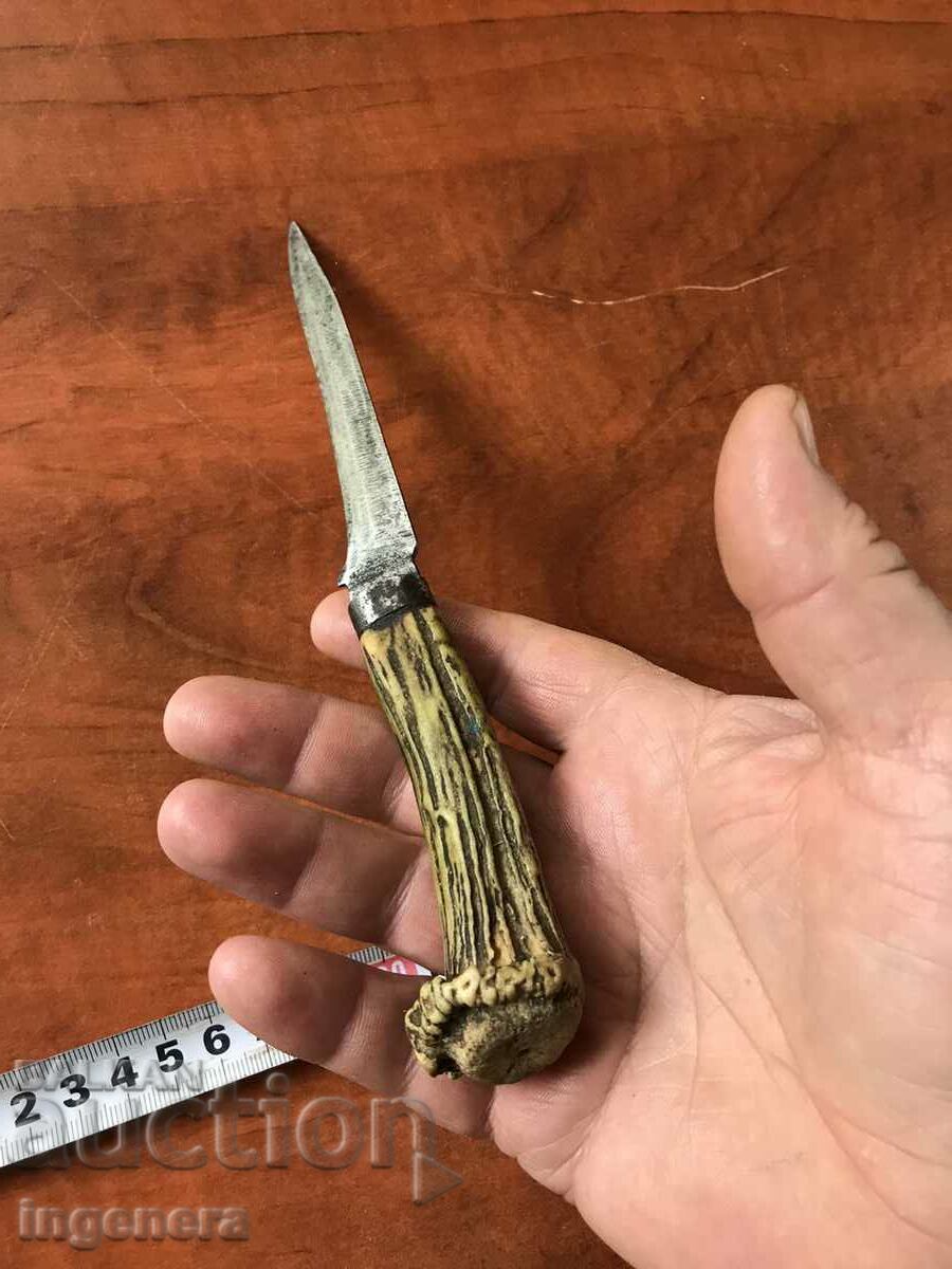 KNIFE BLADE HORN COLORED - 5 KNIFE BLADE HORN COLORED - 5