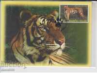 Пощенска картичка FDC Котки Хищници