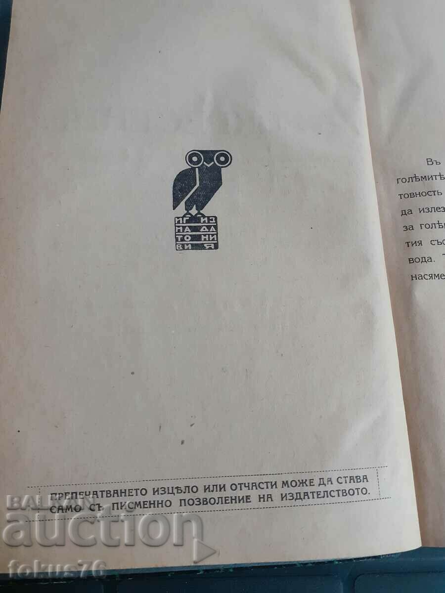 Antique Book - Resurrection with price 45.00 BGN | € 23.01