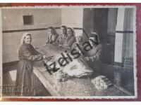 Уникална българска снимка на есетрова риба