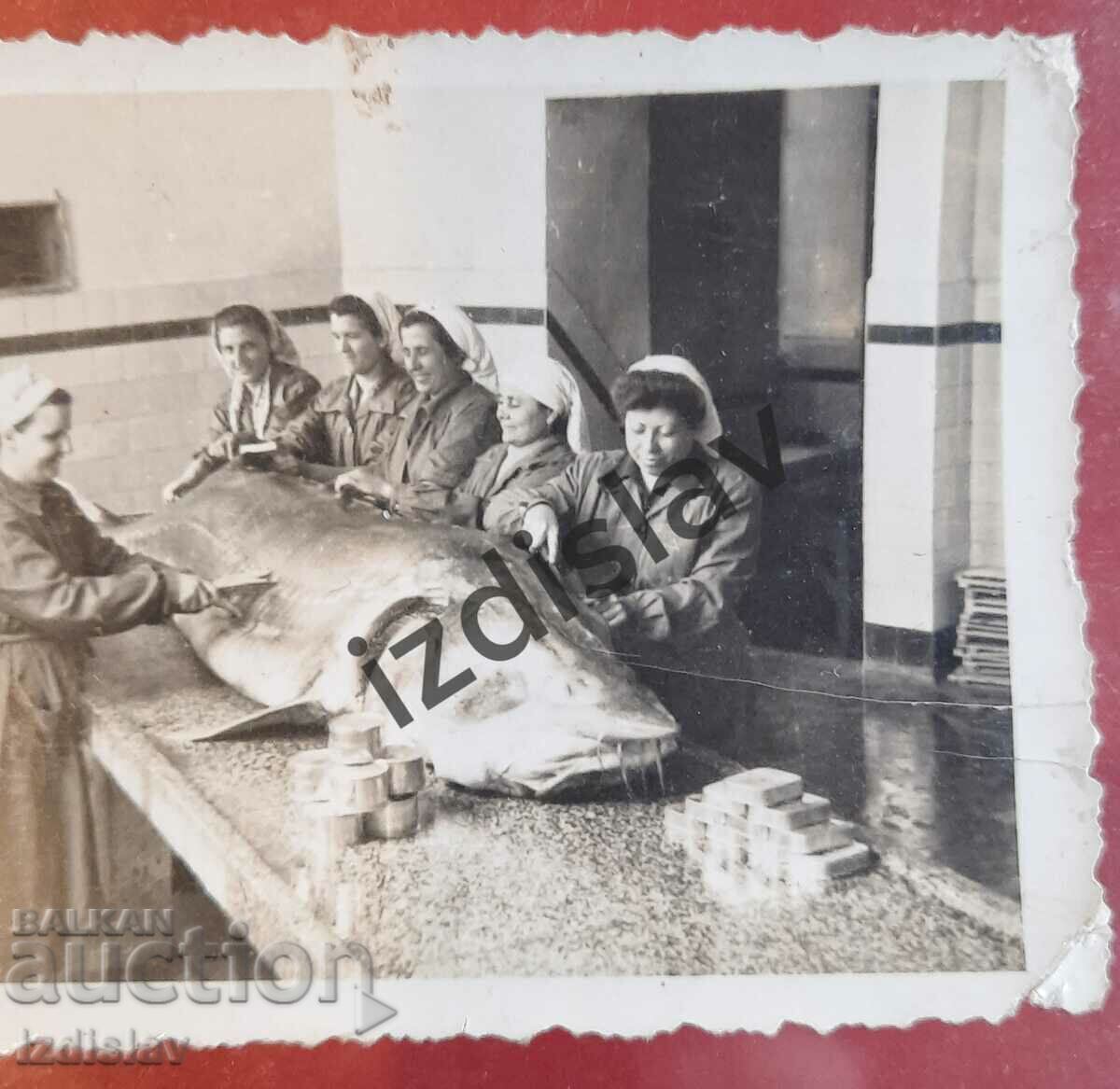 O fotografie unică bulgară a unui pește sturion cu preț € 20.00 | 39.12 BGN
