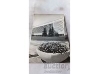 Postcard Sofia Sports Hall Universiade 1960