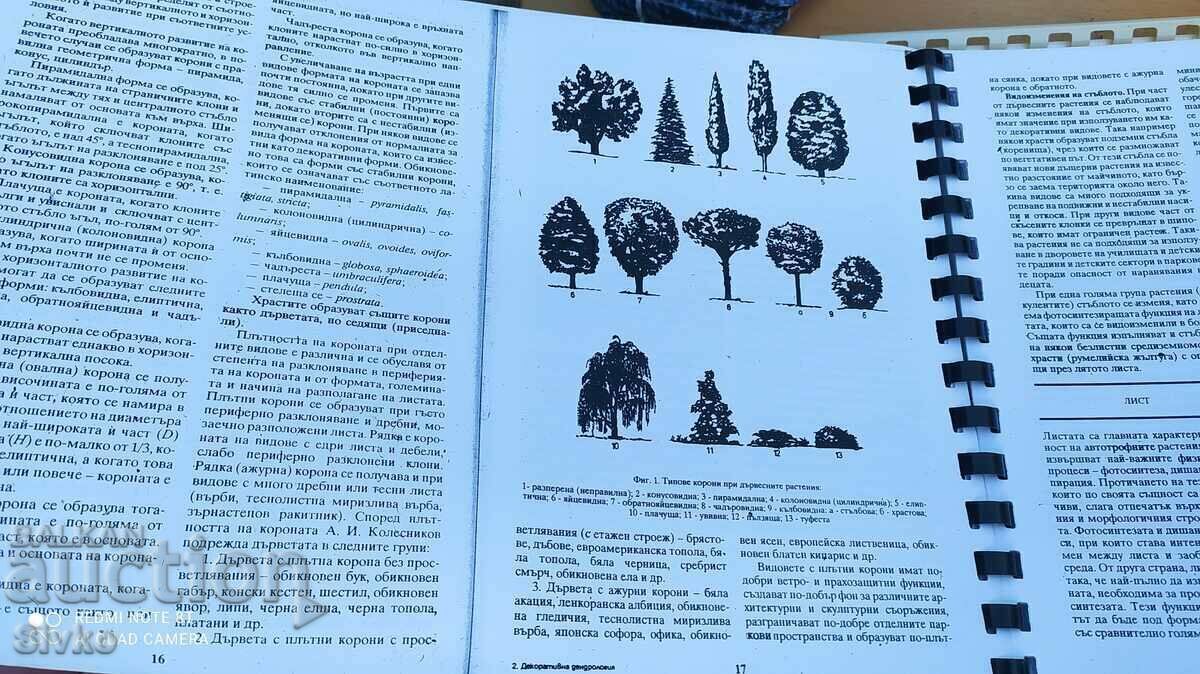Decorative Dendrology Textbook - Of. 1 with price 0.99 BGN | € 0.51