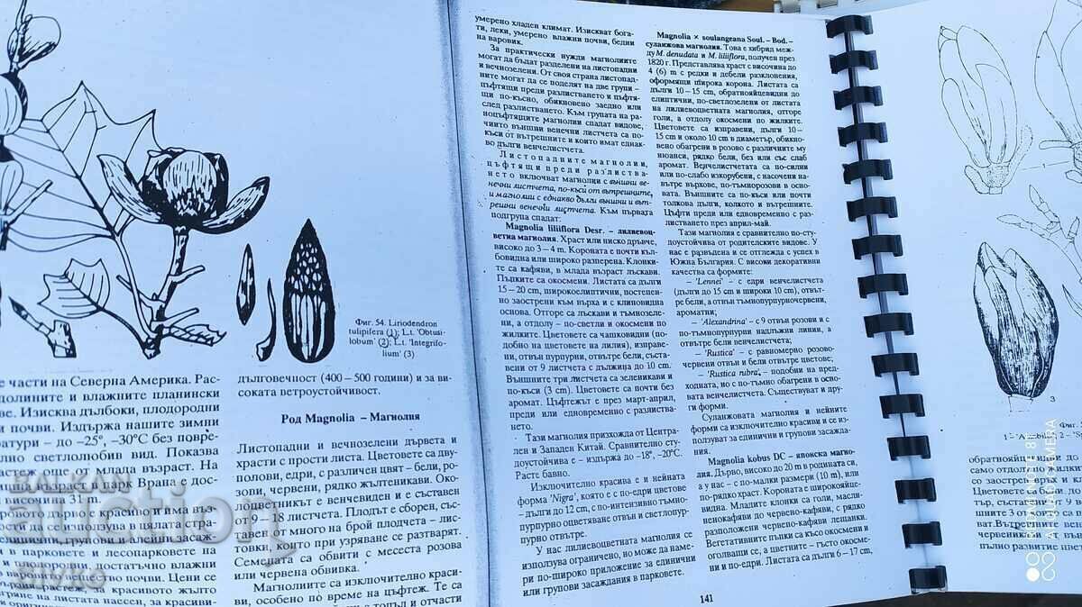 Decorative Dendrology Textbook - Of. 1 - 5