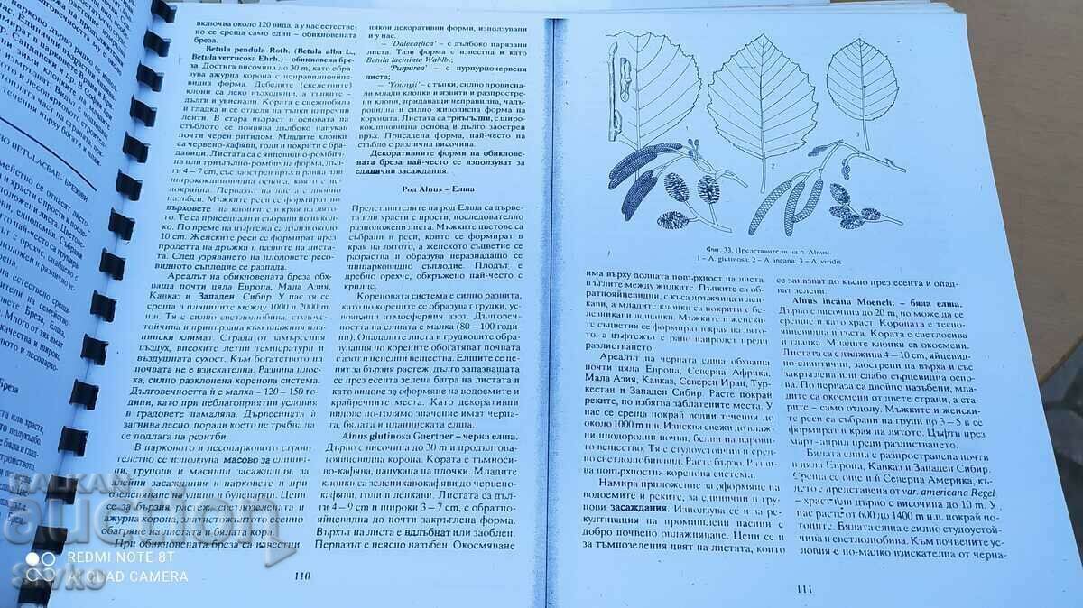 Decorative Dendrology Textbook - Of. 1 - 6