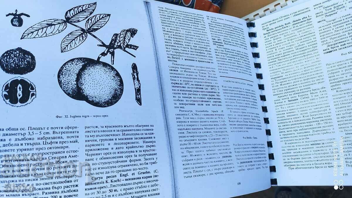 Decorative Dendrology Textbook - Of. 1 - 7