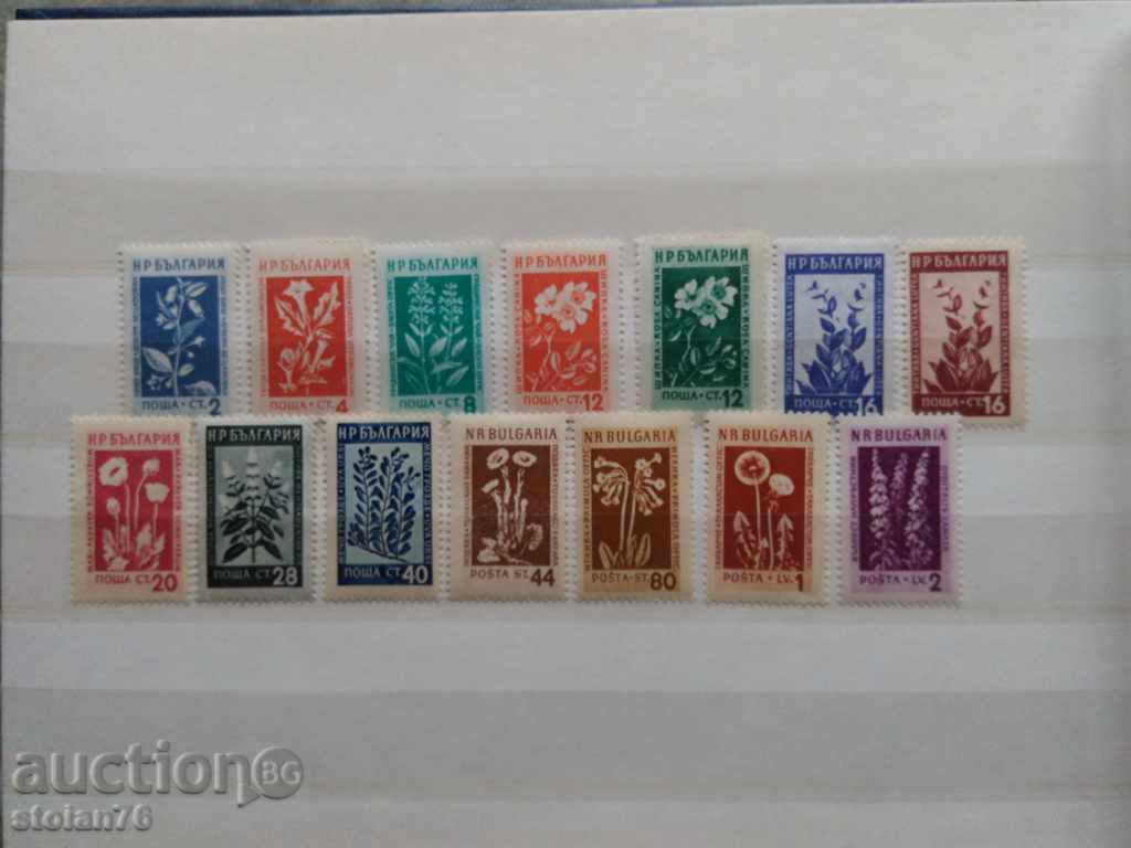 Bulgaria „Plante medicinale” Nr 914/927 din 1953 BC. flora florilor