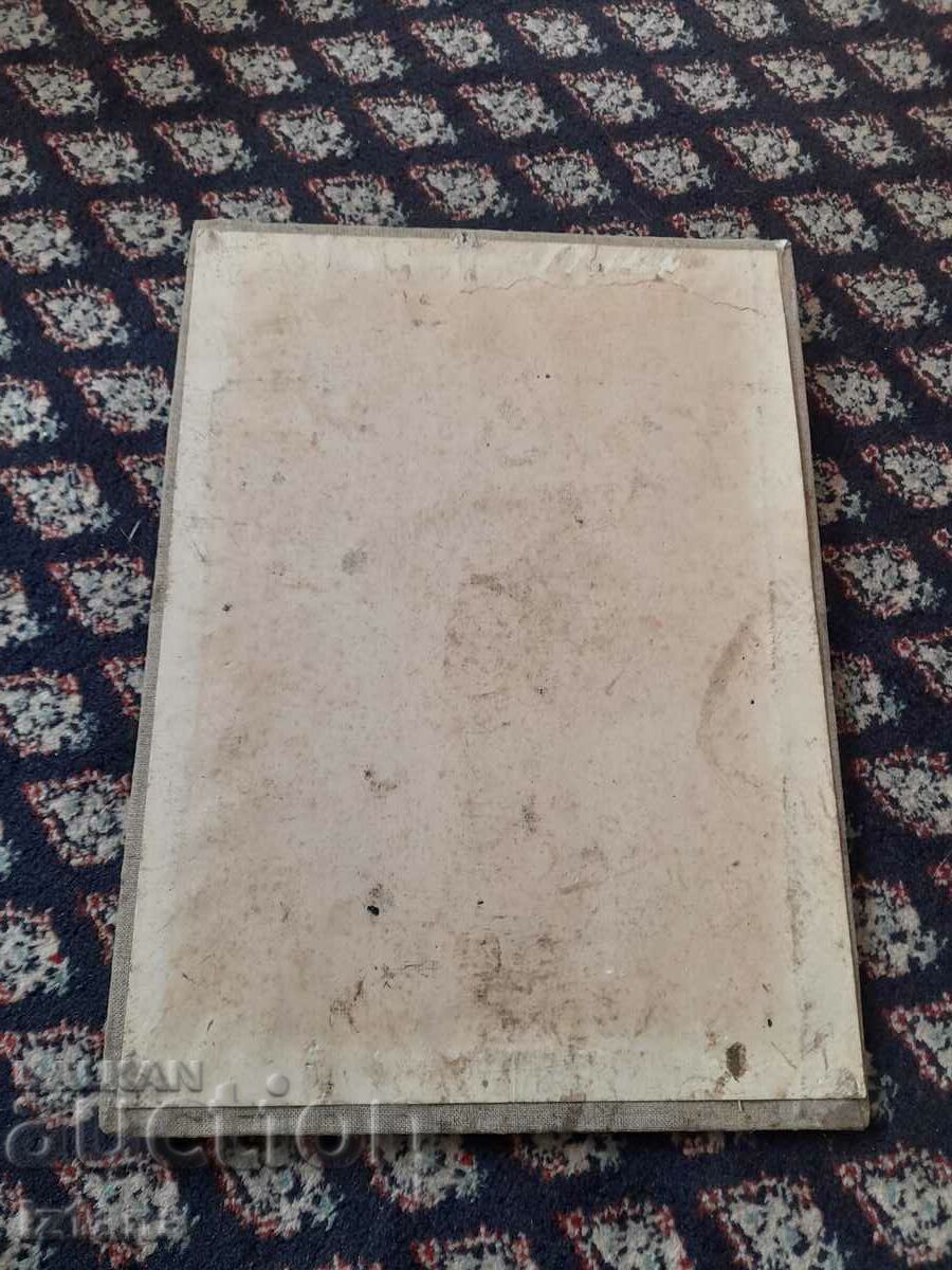 Delivery of Old application Misha the bear