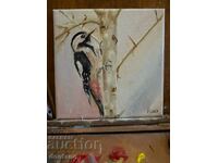 Oil painting - Large spotted woodpecker - 20/20cm