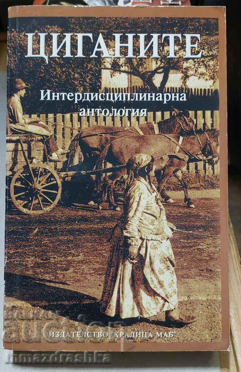 Gypsies, an interdisciplinary anthology