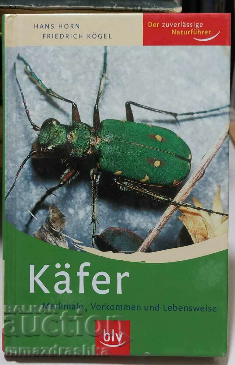 O carte despre gândaci, Käfer: Merkmale