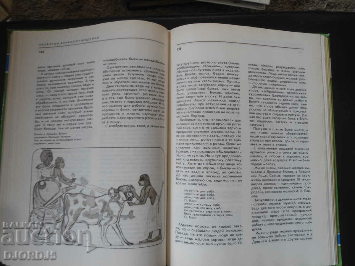 Delivery of Neighbors on the planet, Pets