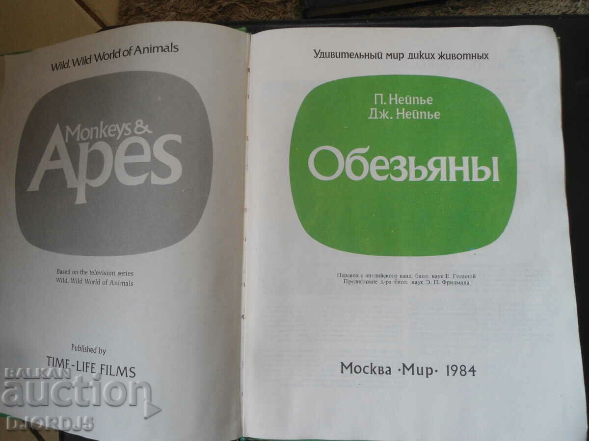 Monkeys with price 5.00 BGN | € 2.56 Monkeys with price 5.00 BGN | € 2.56