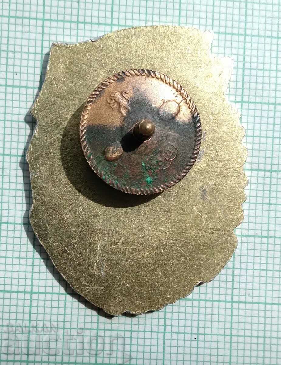 Auction 15843 Excellent in Combat and Political Training - screw Auction 15843 Excellent in Combat and Political Training - screw