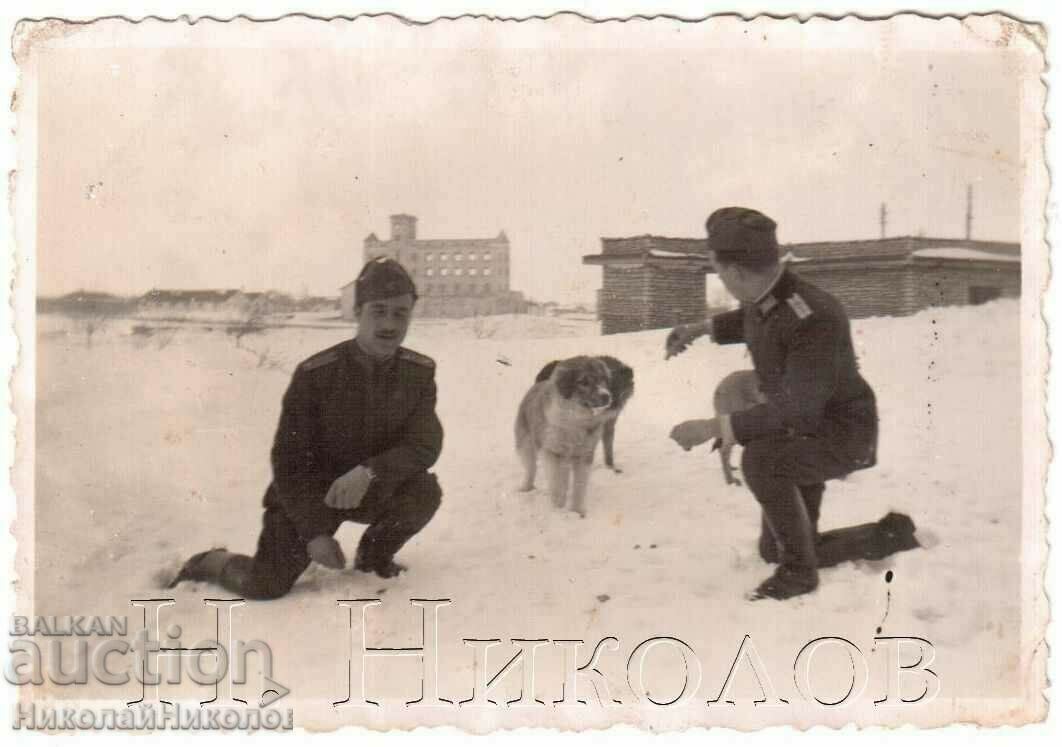 SMALL OLD PHOTO BALCHIK THE MILL MILITARY DOG G842