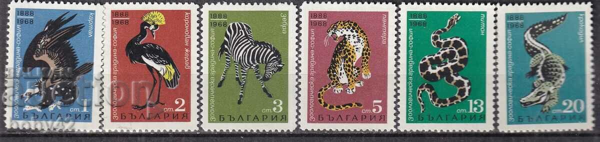 БК 1884-1999 80 г. Зоологическа градина