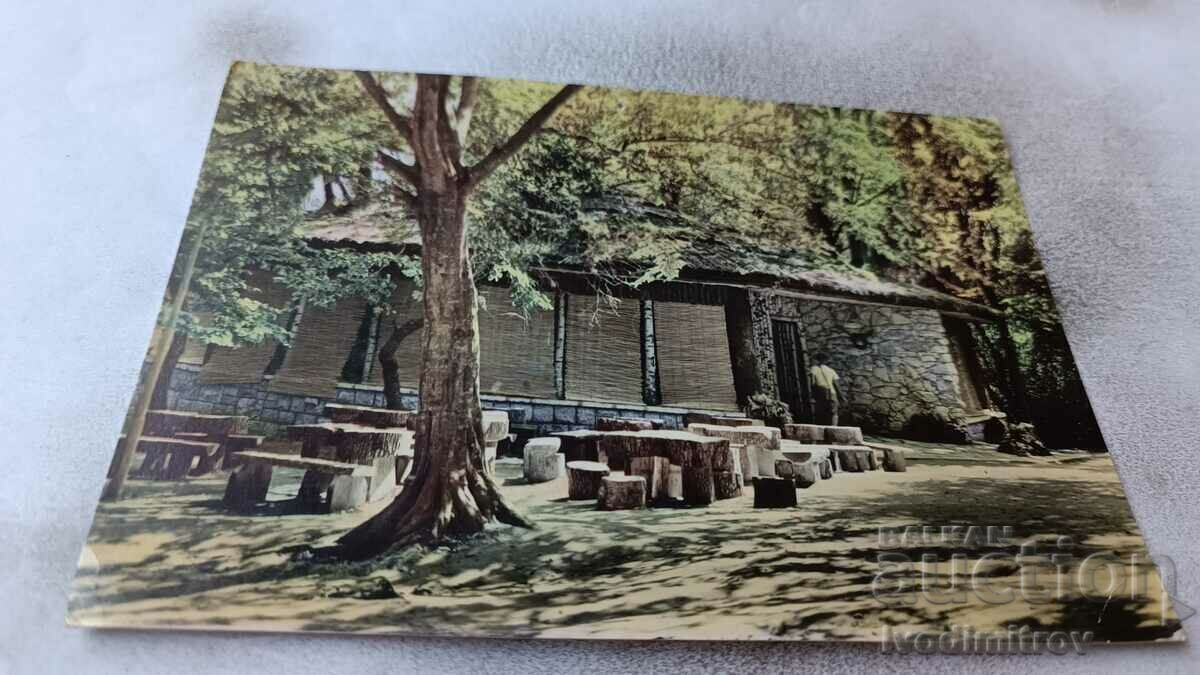 Postcard Golden Sands Restaurant Forest Corner 1963