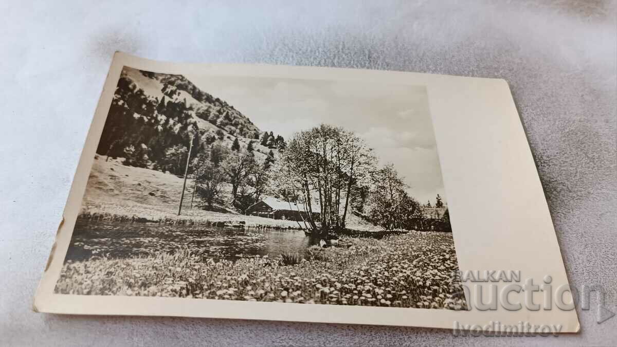 Пощенска картичка Хижа покрай река в планината 1950