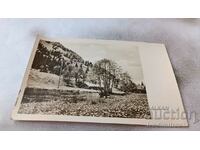 Carte poștală O colibă lângă un râu în munți 1950