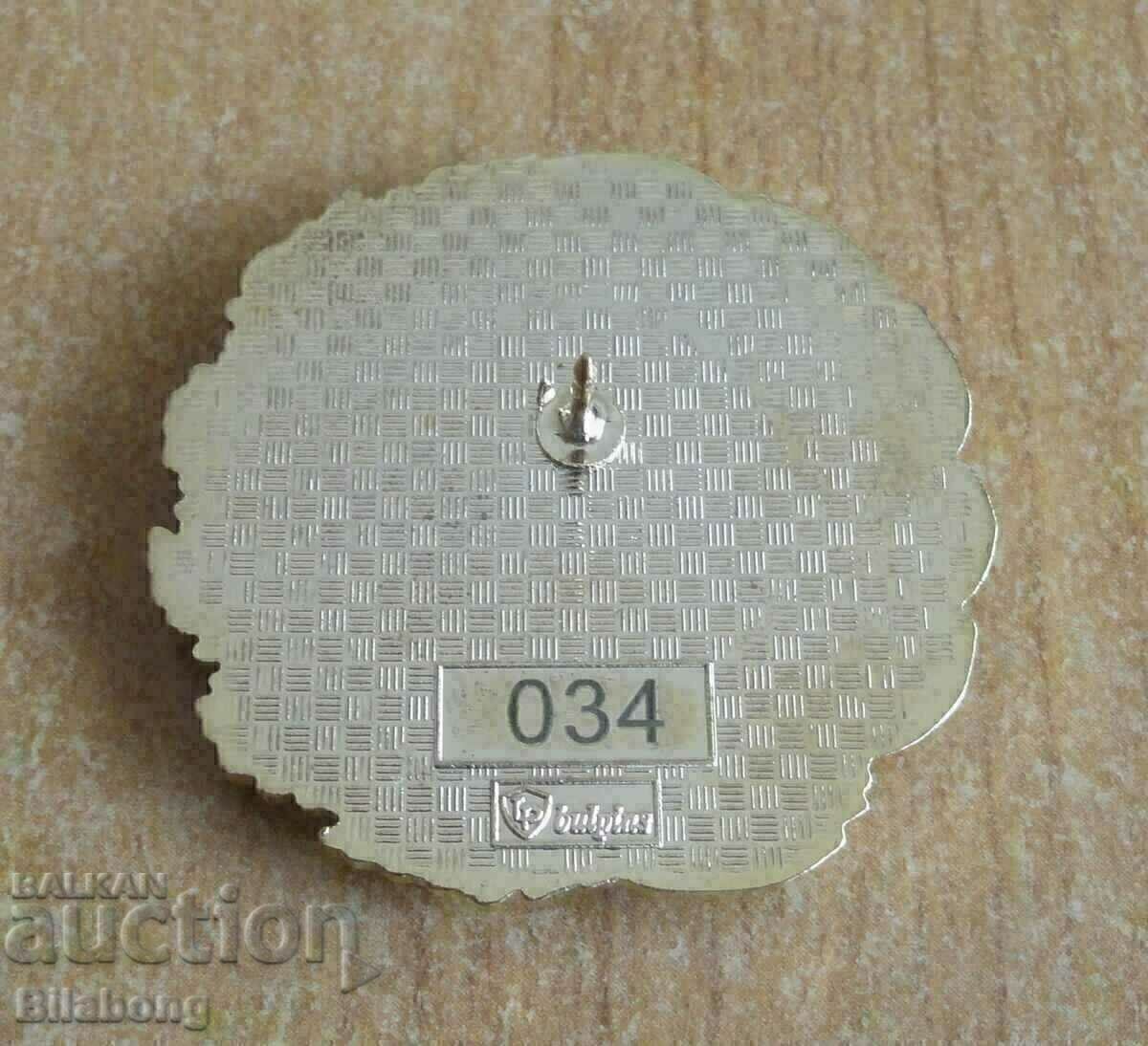 Licitație 2 insigne - 100 ani AS-23, limitate mari și mici, CSKA