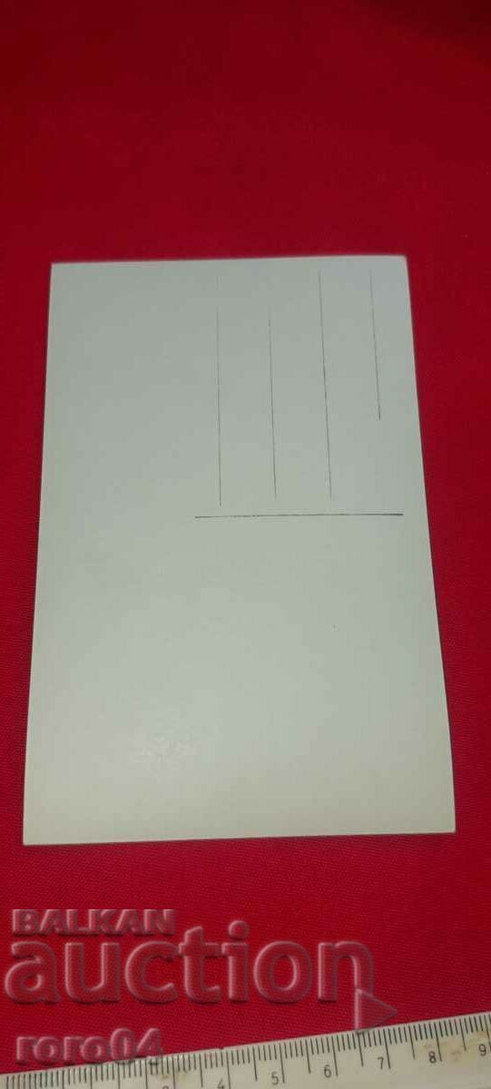 ΚΑΡΛΟΒΟ - 5 ΚΑΡΛΟΒΟ - 5