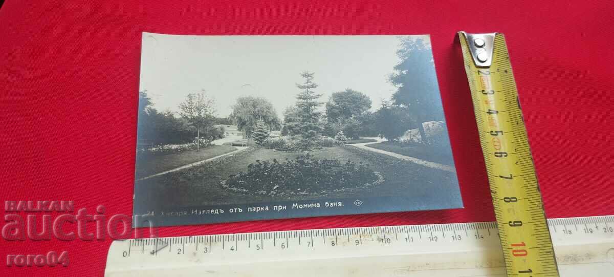 HISARYA with price 13.50 BGN | € 6.90