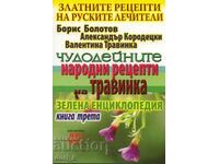 The golden recipes of Russian healers. Book 3