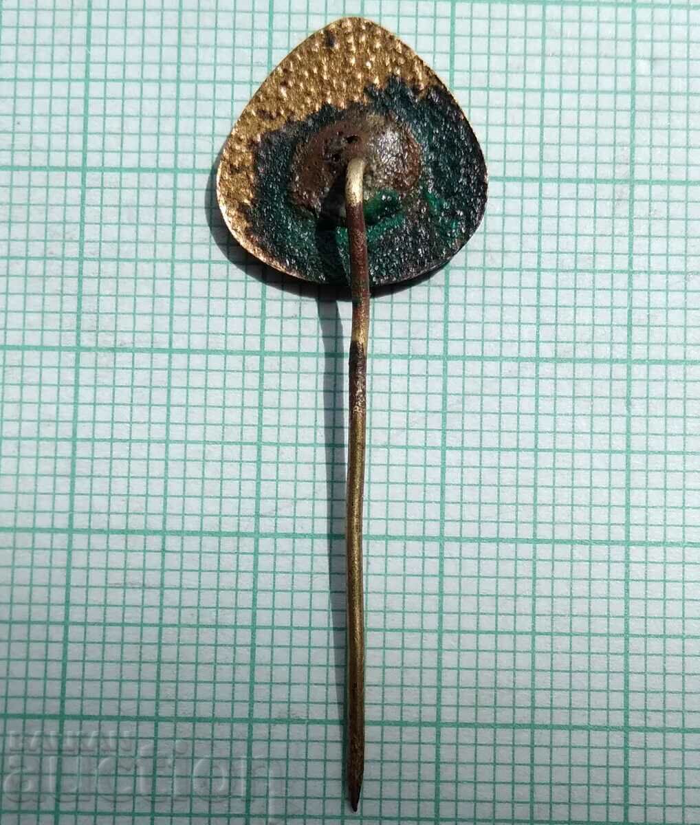 Auction 15851 Blood Donor BCHK Bulgarian Red Cross - bronze enamel Auction 15851 Blood Donor BCHK Bulgarian Red Cross - bronze enamel