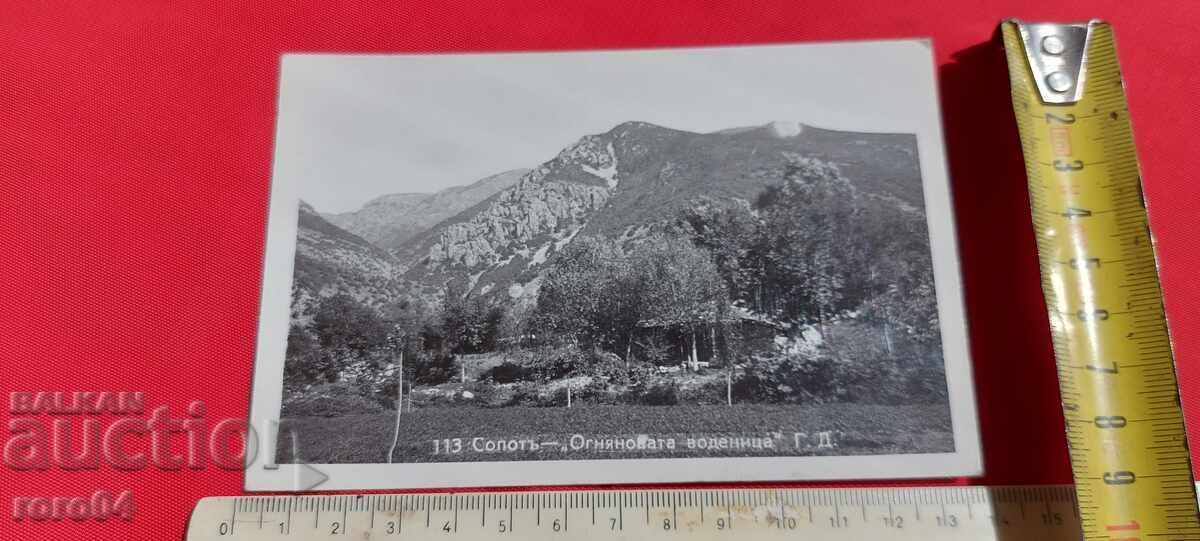 SOPOT with price 22.50 BGN | € 11.50 SOPOT with price 22.50 BGN | € 11.50