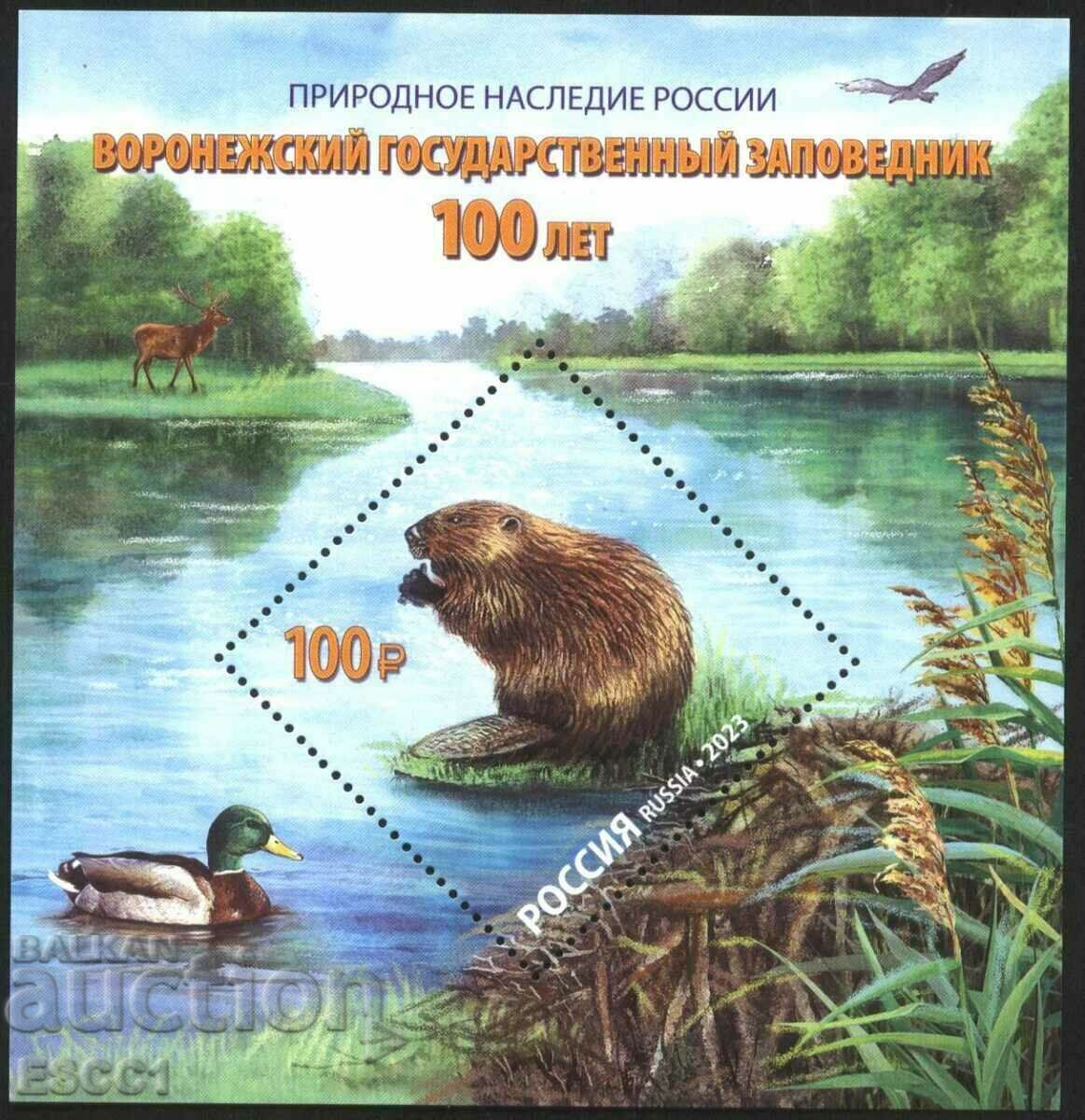 Clean Block Voronezh National Reserve Fauna 2023 from Russia