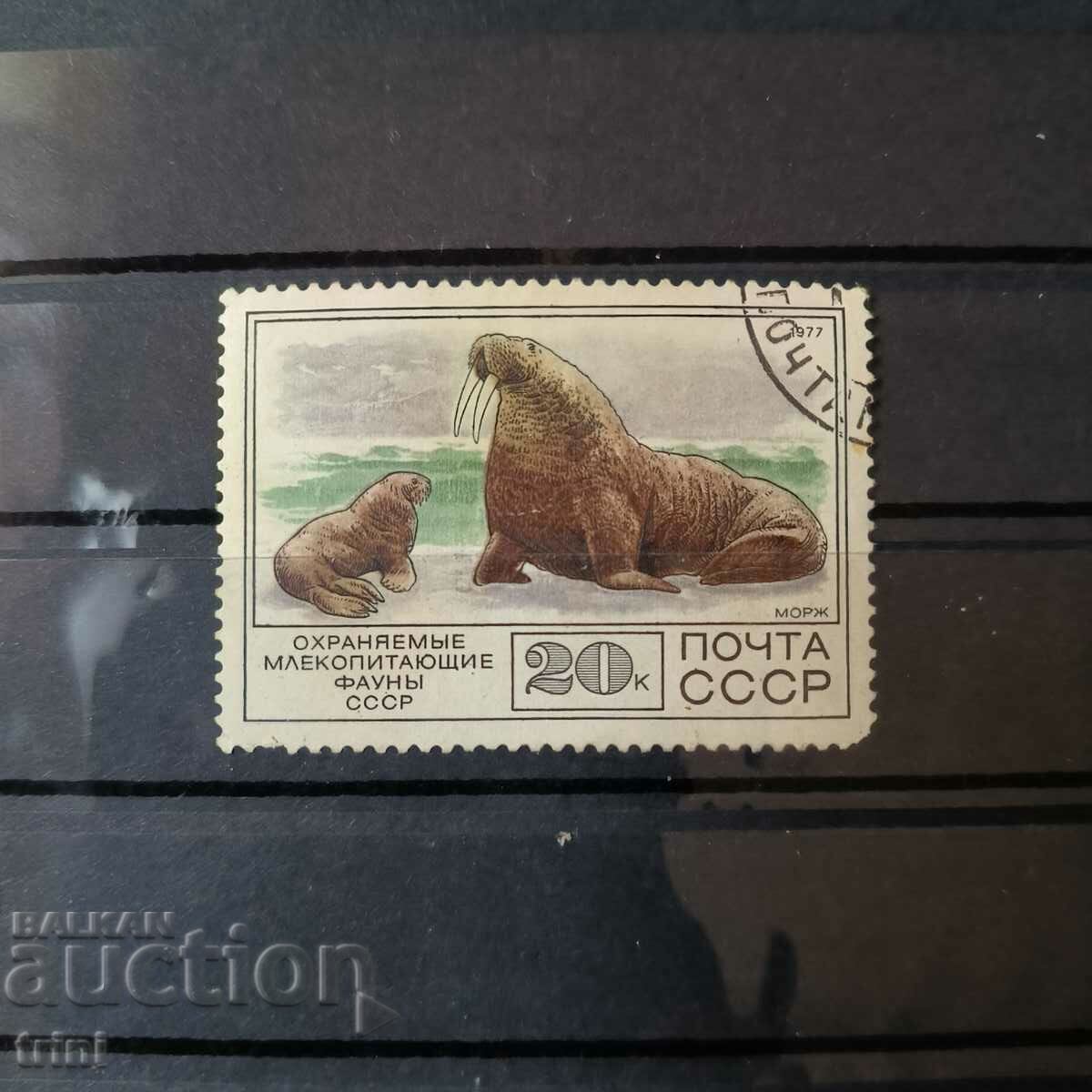USSR 1977 Fauna Walrus 20 kop.