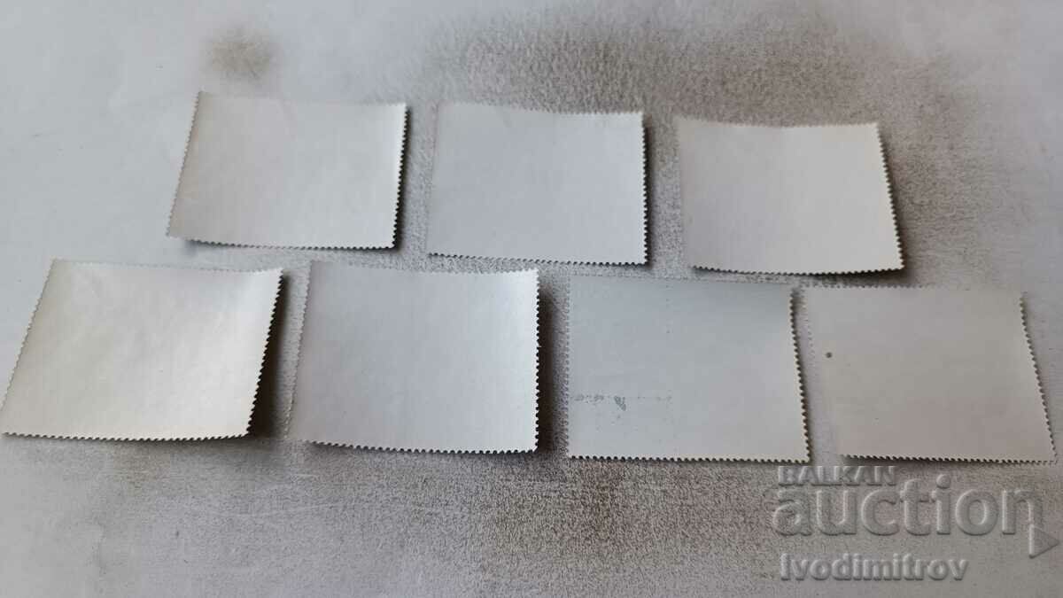 Postage stamps PARAGUAY Racing cars with price 2.45 BGN | € 1.25 Postage stamps PARAGUAY Racing cars with price 2.45 BGN | € 1.25