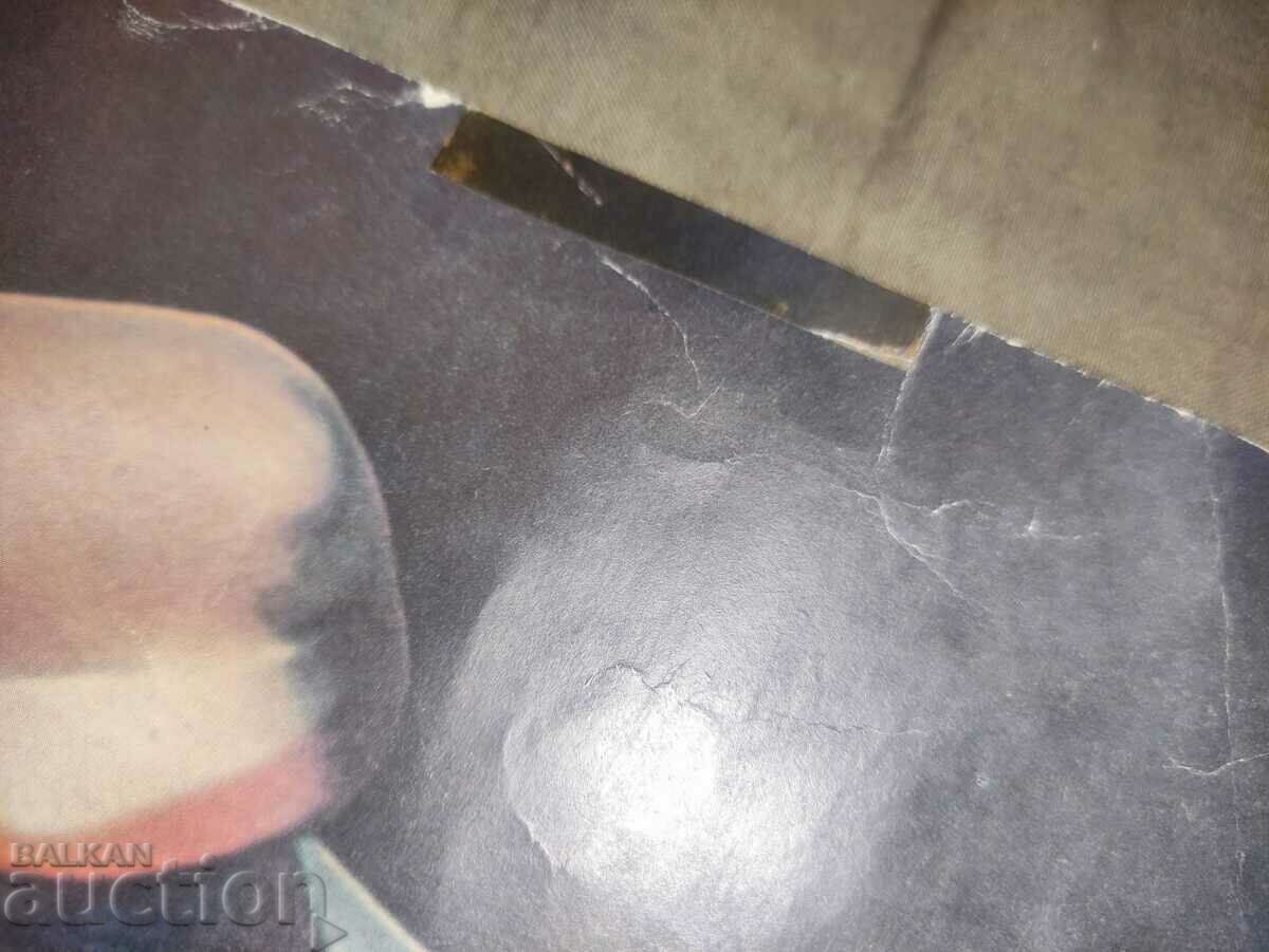 poster Milena with price 800.00 BGN | € 409.03 poster Milena with price 800.00 BGN | € 409.03