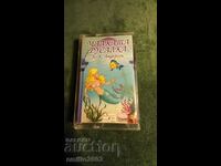 The Little Mermaid Audio Cassette