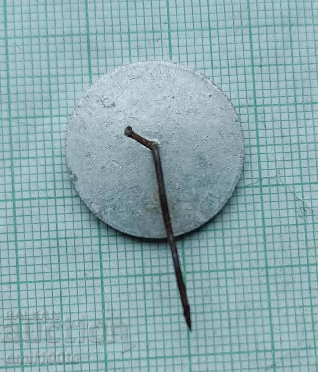 Delivery of Badge - April 1876 April Uprising Cherry Ball