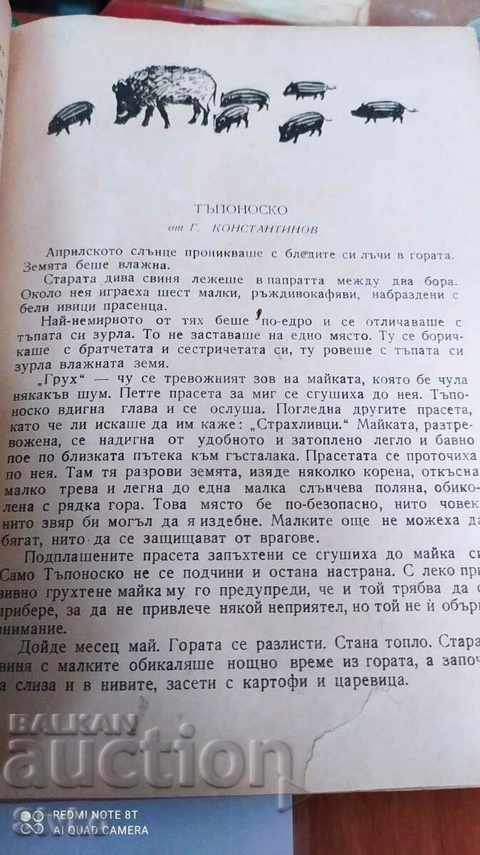 Παράδοση Ιστορίες της φύσης, πολλές εικονογραφήσεις