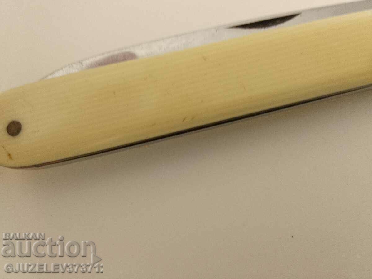 Delivery of Collectible Old Rost Ivory Tasting Knife Delivery of Collectible Old Rost Ivory Tasting Knife