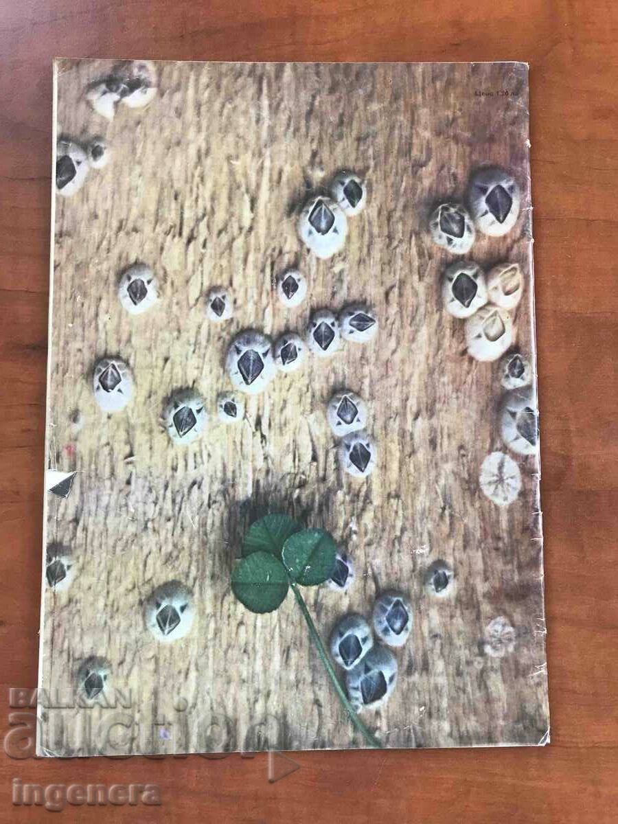 "LADA" MAGAZINE - MAY 1974. with price 3.00 BGN | € 1.53 "LADA" MAGAZINE - MAY 1974. with price 3.00 BGN | € 1.53