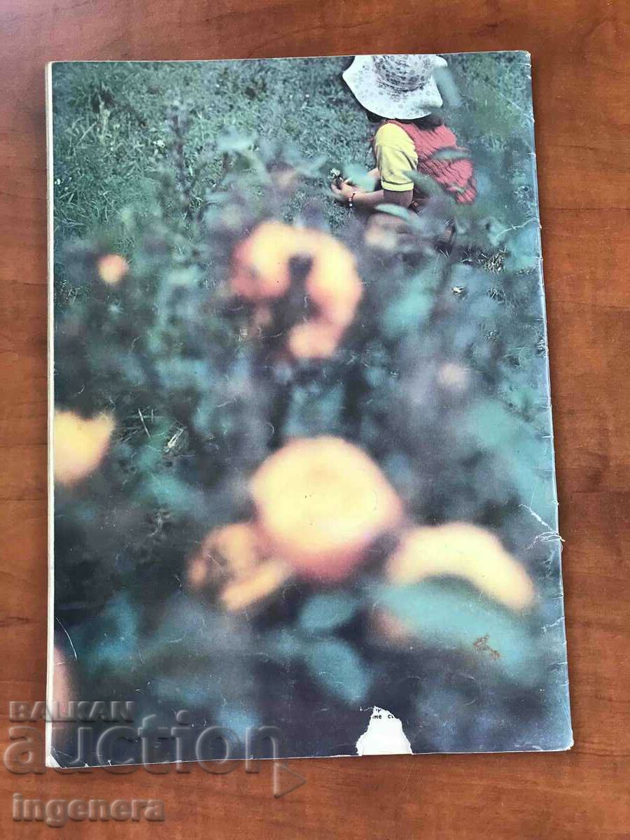 "LADA" MAGAZINE - MARCH 1974. with price 3.00 BGN | € 1.53 "LADA" MAGAZINE - MARCH 1974. with price 3.00 BGN | € 1.53